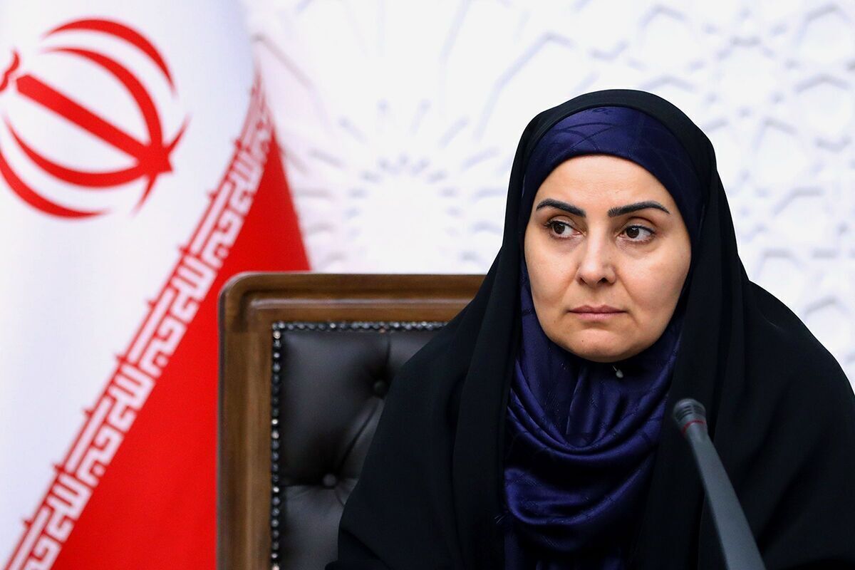 اقدام مهم دولت برای مردم در شرایط بسته بودن آسمان ایران اقدام مهم دولت برای مردم در شرایط بسته بودن آسمان ایران