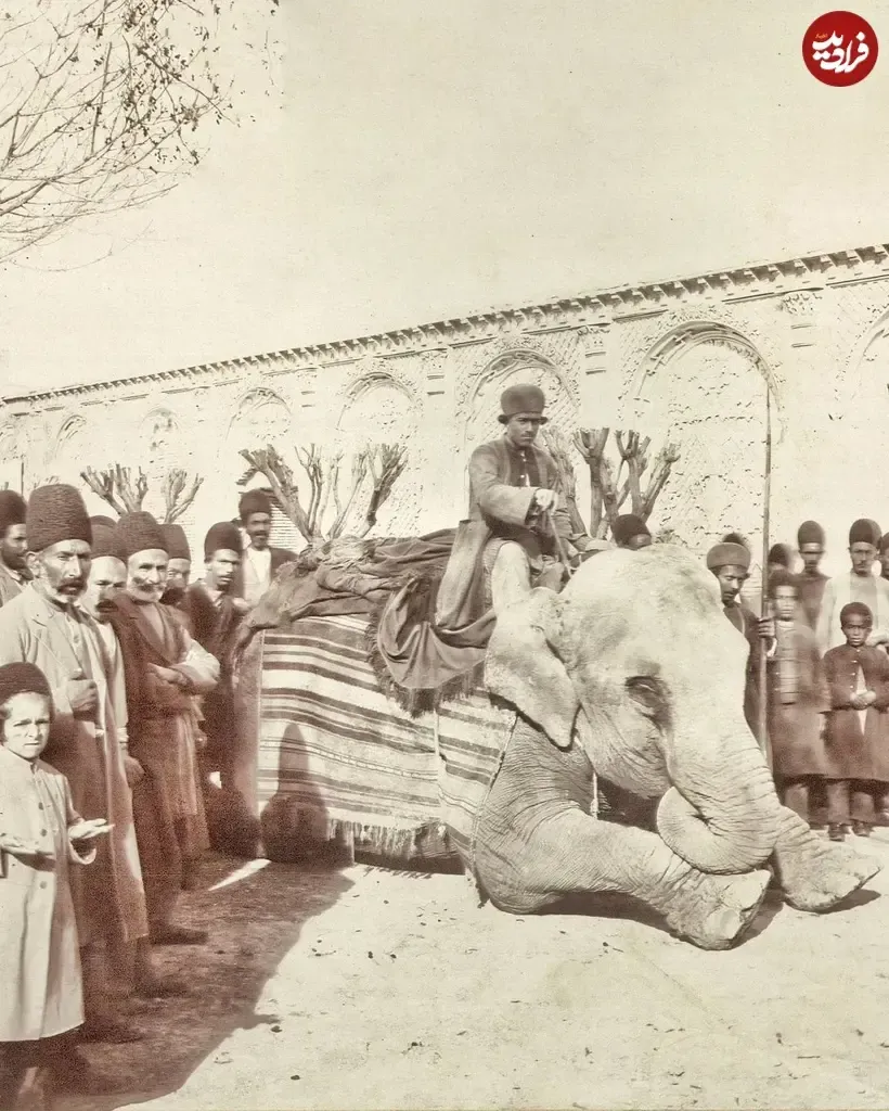 مردم سنگلج و فیل ناصرالدین شاه