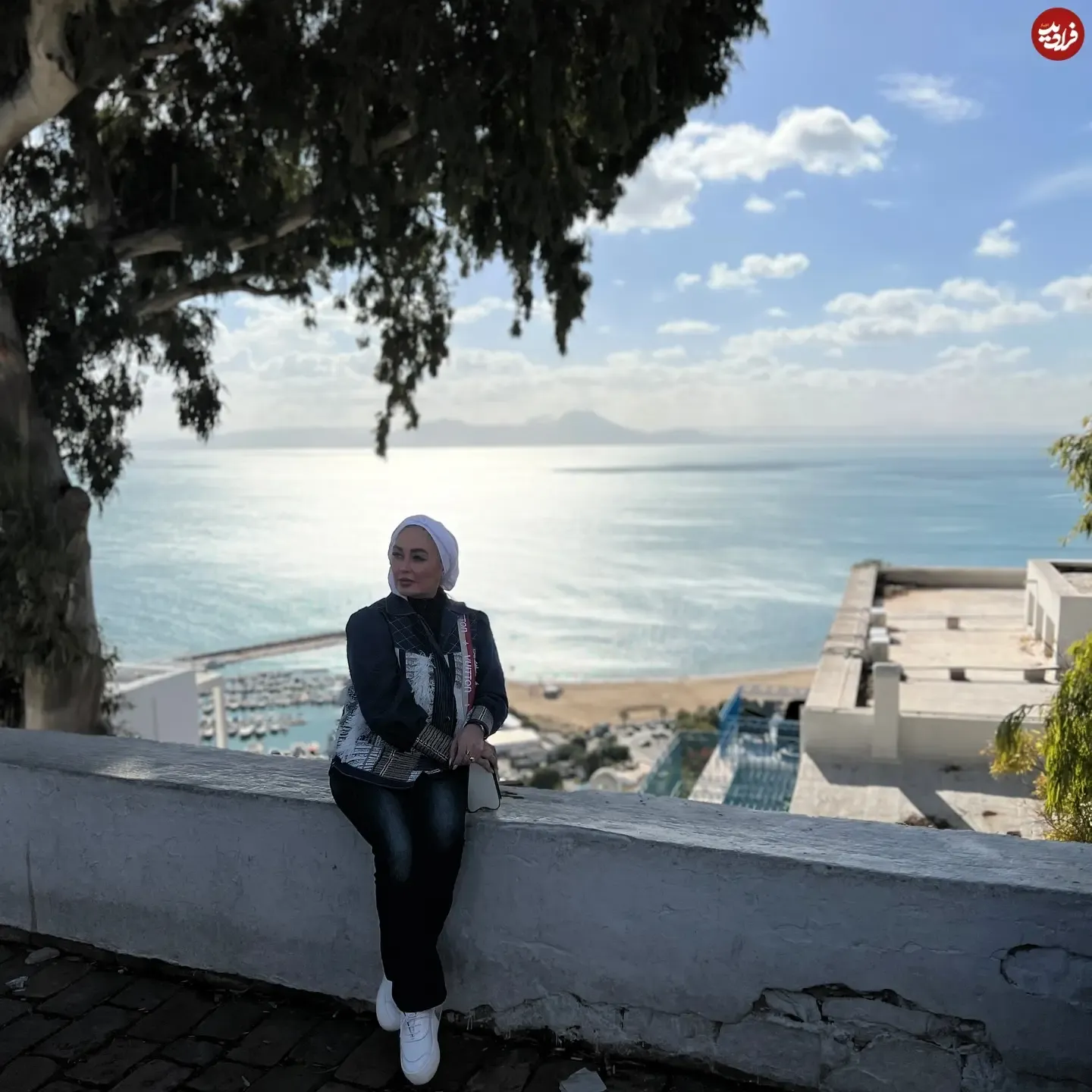 elhamhamidi1