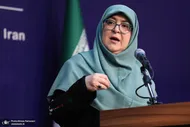 سخنگوی دولت:  دو دسته عامل گرانی داریم: یکی خود مواد غذایی است، یکی موضوع بسته&zwnj;بندی&zwnj;هاست که باعث گرانی می&zwnj;شود