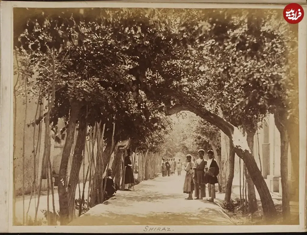 شیراز