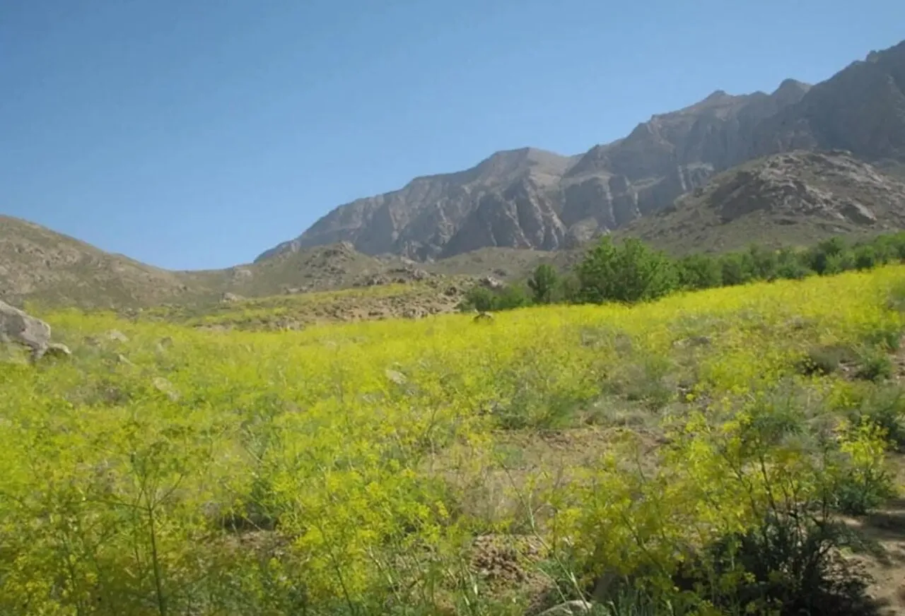 خنک ترین روستای یزد کجاست؟؛ ۹ جای خنک‌ و دیدنی یزد برای سفرهای تابستانی + آدرس