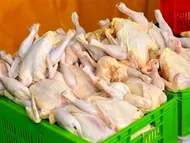 قیمت مرغ امروز دوشنبه ۲۹ تیر ۱۴۰۵ چند؟
